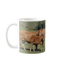 Vaca que lame su becerro