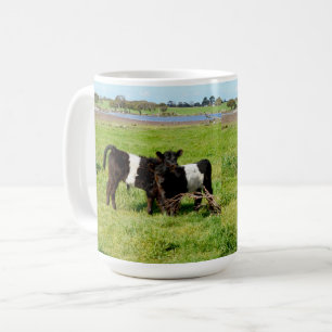 Taza De Café Vacas Belted Galloway Bebés en el Campo,