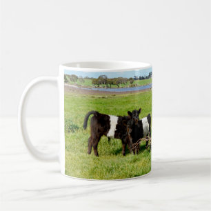 Taza De Café Vacas Galloway Belladas Para Bebés En El País,