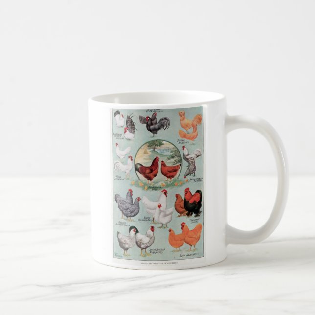 Taza De Café Variedades estándar de pollo (Derecha)