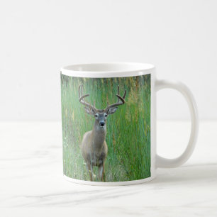 Taza De Café Venado de cola blanca en Meadow Mug