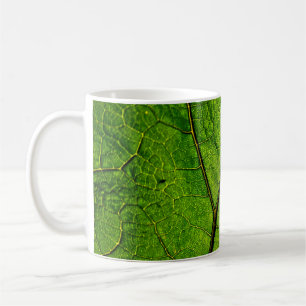 Taza De Café Venas de hojas de carbunco verde