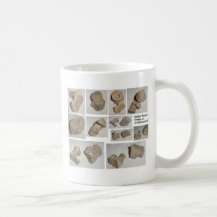 TAZA DE CAFÉ VÉRTEBRA FOSILIZADA DEL MAMÍFERO