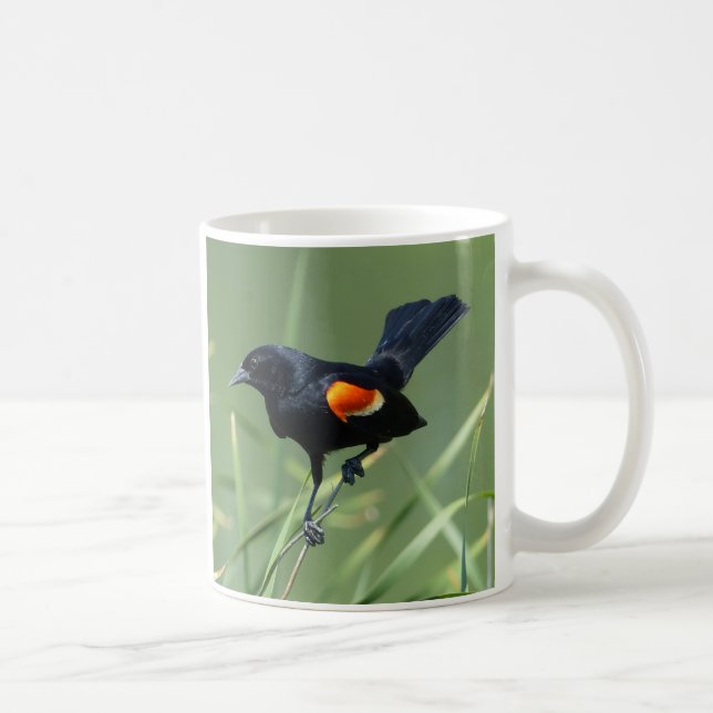 Taza De Café Viaje de la Naturaleza Rojo-Ave Negro Mug (Derecha)