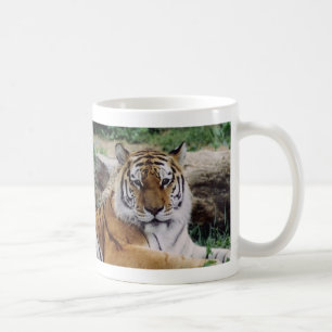 Taza De Café Vida de Lovin