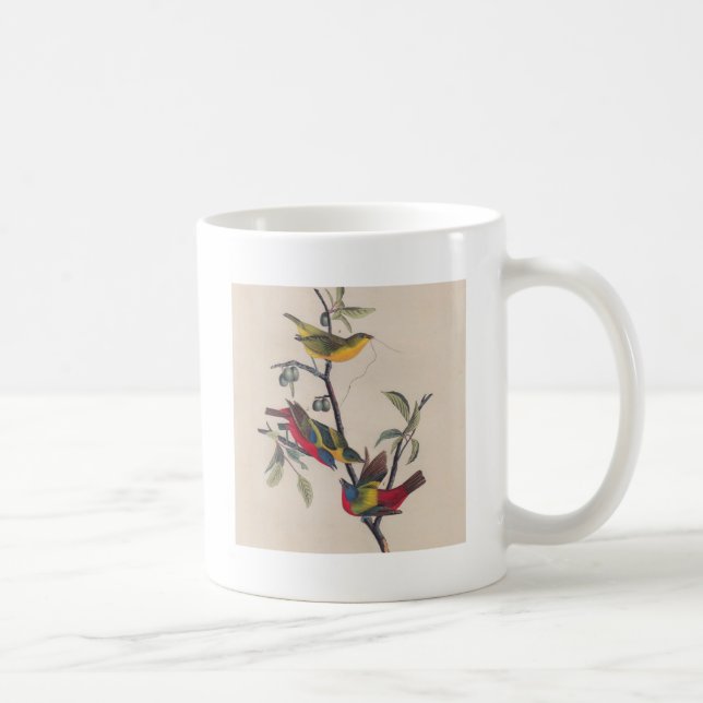 Taza De Café Vida silvestre de las aves de Bunting de Audubon (Derecha)