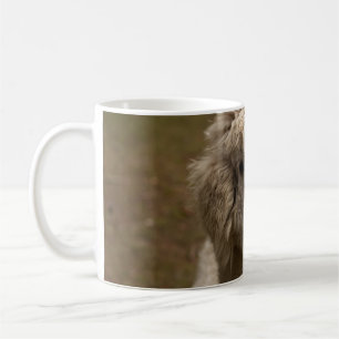 TAZA DE CAFÉ VIENNA WIEN ÖSTERREICH AUSTRIA ALPAKA LAMA ANIMAL 