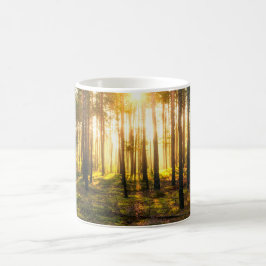 Taza De Café Vigas de sol brillan en el bosque de pinos