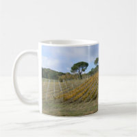 Viñedo toscano en otoño