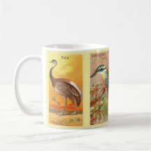 Vintage 4 Ilustracion de aves tropicales Saturn Bo