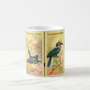 Taza De Café Vintage Cuatro Aves Tropicales En Un Ilustracion