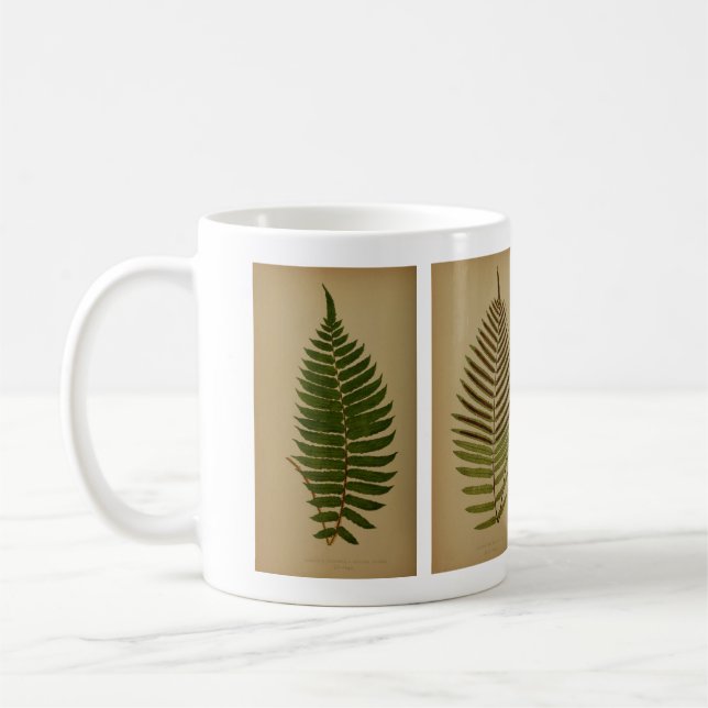 Taza De Café Vintage Ferns (Izquierda)