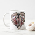 Taza De Café Vintage Human Anatomy Science, Eyeballs Eyes<br><div class="desc">Ilustracion vintage sanidad humana y dibujo de anatomía con una acería de dos ojos con vasos sanguíneos,  venas,  ligamentos,  tendones y músculos. Vista desde arriba con la estructura muscular de los enchufes de los ojos. Gran diseño para los expertos en ciencia y biología.</div>