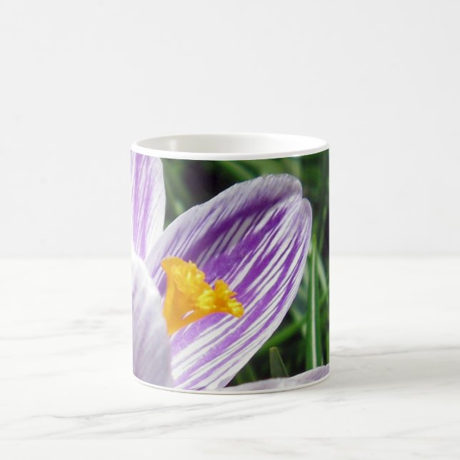 Taza De Café Violet Spring Crocus (Centro)