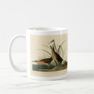 Taza De Café Virginia Rail de los pájaros de América de Audubon