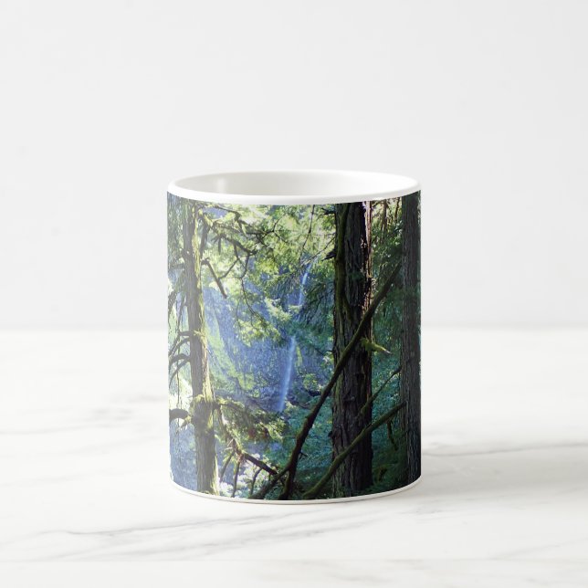 Taza De Café Vista de Elowah Falls, Oregón (Centro)