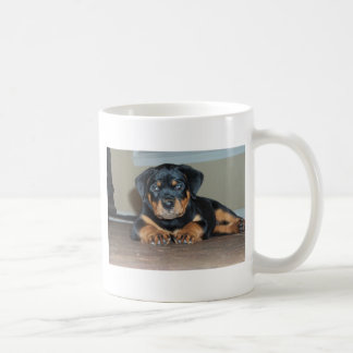 Taza De Café Von Aufstand Rottweilers