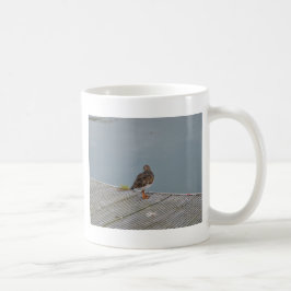 Taza De Café Vuelvepiedras