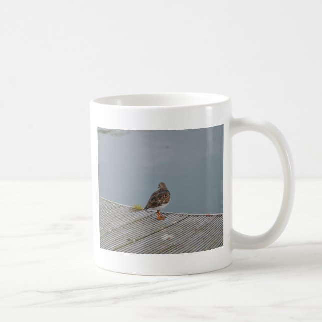 Taza De Café Vuelvepiedras (Derecha)