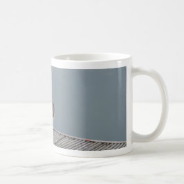 Taza De Café Vuelvepiedras