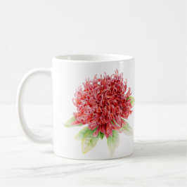 Taza De Café Waratah Protea la flor roja acuarela