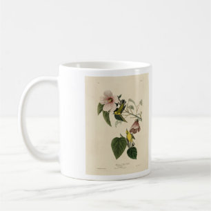 Taza De Café Warbler amarillo de ala azul - Aves Audubon Améric