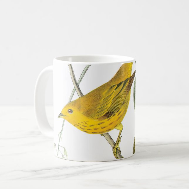 Taza De Café Warbler amarillo de Audubon (Anverso izquierdo)