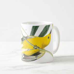 Taza De Café Warbler prothonotario de Audubon