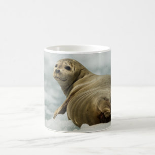 Taza De Café Wary Seal