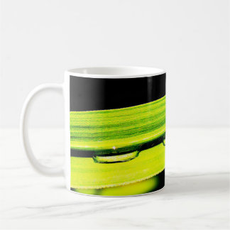 Taza De Café Water Drops on Grass