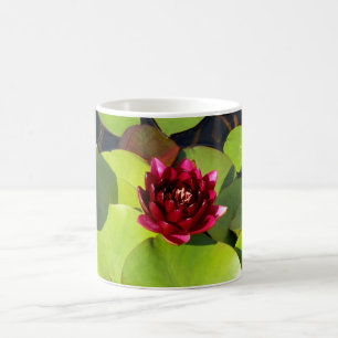 Taza De Café Water Lily Mug