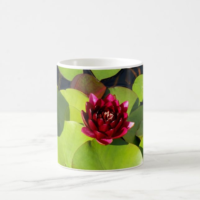 Taza De Café Water Lily Mug (Centro)