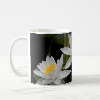 Taza De Café Waterlily Trio Mug