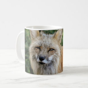 Taza De Café Wild Fox