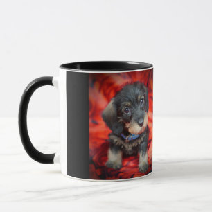 taza de café wirehaired del perrito del dachshund