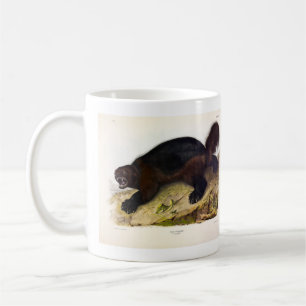 Taza De Café Wolverine o Wolverene (Gulo gulo) de Audubon