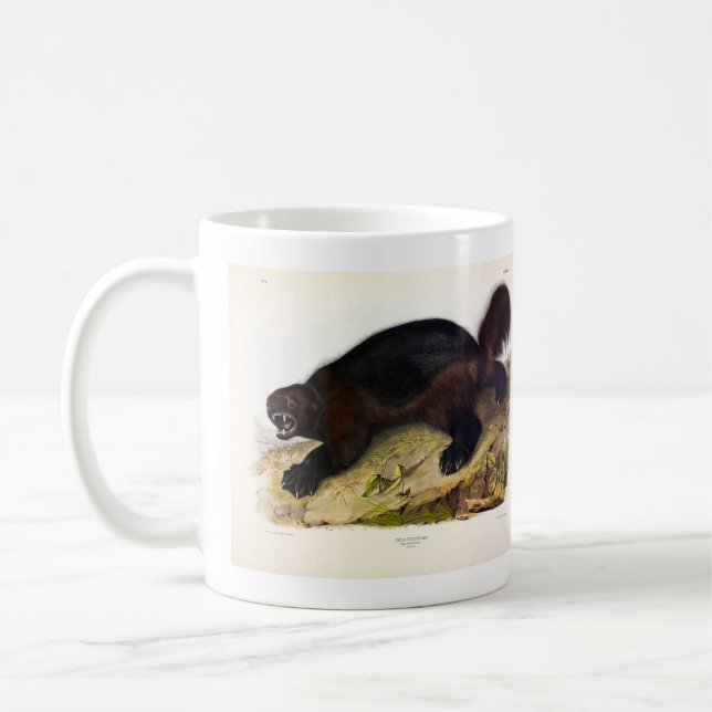 Taza De Café Wolverine o Wolverene (Gulo gulo) de Audubon (Izquierda)