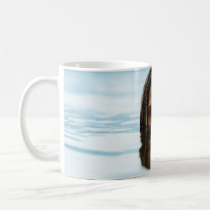 Taza De Café Woman in body of water in the morning