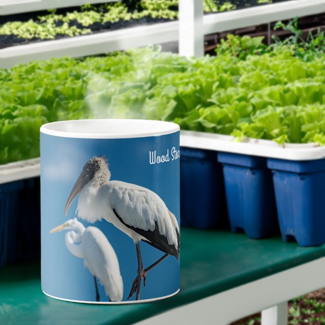 Taza De Café Wood Stork (Subido por el creador)