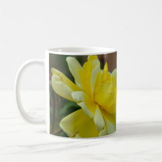 Taza De Café Yellow Rose