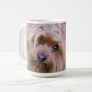 Taza De Café Yorkshire Terrier Closeup Coffee Mug