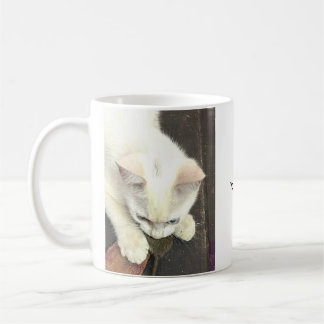 Taza De Café You Got Me For 10 Years!, Anniversary Coffee Mug