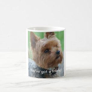 Taza De Café You've got friend a - Yorkshire Terrier Mug -