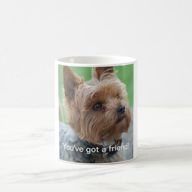 Taza De Café You've got friend a - Yorkshire Terrier Mug - (Centro)