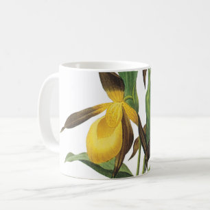 Taza De Café zapatilla de dama (Cypripedium sp.) de Redouté
