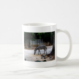 Taza De Café Zebra