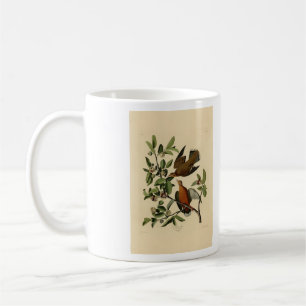 Taza De Café Zenaida Dove de los pájaros de América de John Aud
