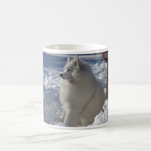 Taza De Café zeus_snow_21dec09_1 (Centro)