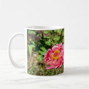 Taza De Café Zinnia rosa con centro amarillo