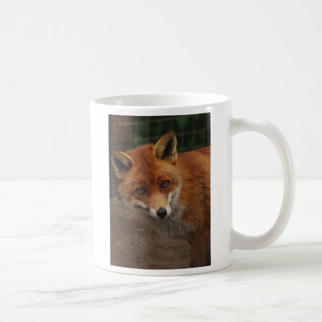 Taza De Café zorro (Derecha)